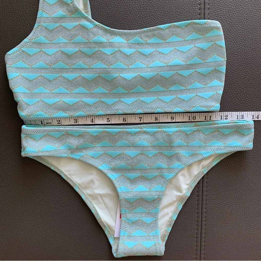 Solid & Striped Desi Bikini